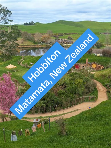 Exploring the Beauty of New Zealand: A Travel Adventure