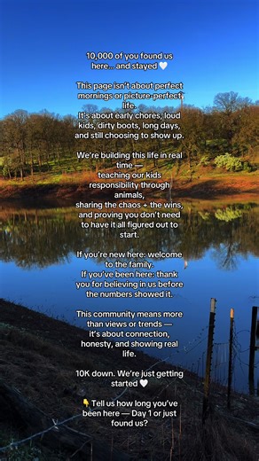 Building Real Life Connections on Our Homestead Journey