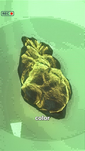 Zack D. Films on Instagram: "How Stanford’s Smart Toilet Monitors Your Health 😮"