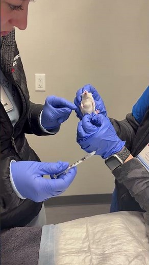 Penn Foster Externship 2 skill 45