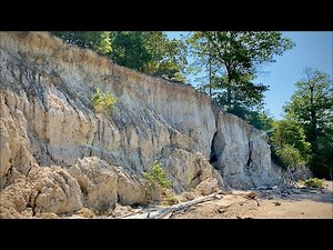 Collecting 600+ Fossils in One Day! | Shark Tooth Hunting