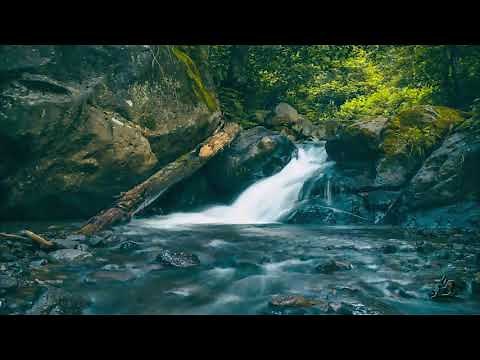 5-Minute Body Scan: A guided meditation by Michelle Grocke, PhD