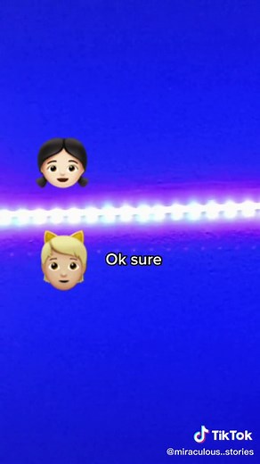 Marinette and Chat Noir Romantic Moment in Her Room | Miraculous Ladybug Fanfiction