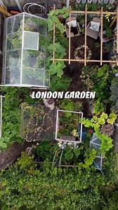 5.3K views · 278 reactions | 159_Bioactive terrarium ft. worcesterterrariums #fyp #foryourpage #terrarium #bioactiveterrarium #indoorgarden #tiktoks #garden #nature #flowers #gardening #plants #flower #photography #naturephotography #green #love #gardenlife #summer #gardendesign #jardin #garten #beautiful #landscape #spring #photooftheday #plant #flowerstagram #gardeninspiration #home #art #instagood #plantsofinstagram #flowersofinstagram #naturelovers #macro #mygarden | DIY idea | Facebook