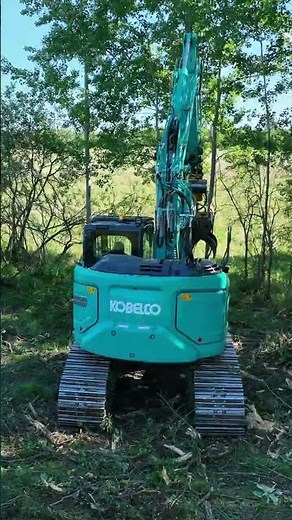 The Kobelco SK140SRL-7 in the forest