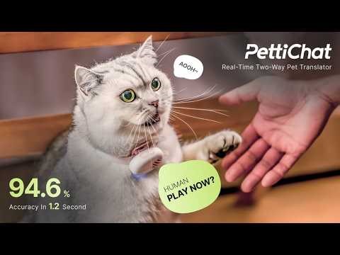 Scientists Are Stunned — PettiChat: World's First Real-Time Two-Way Pet Translator Actually Works!