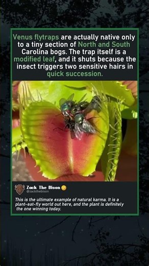 TEAM PLANT IS WINNING