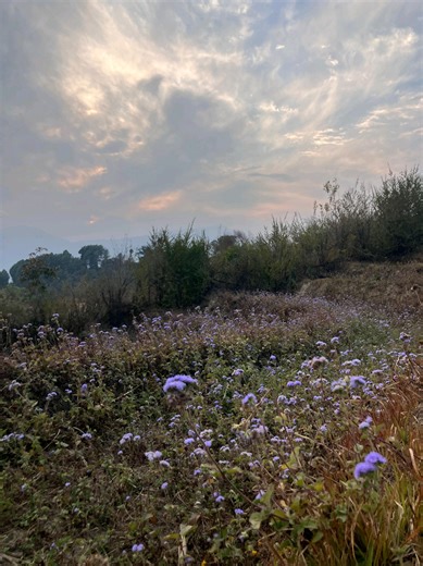 timi tirai🙆‍♀️💕#dekheratimilaihereratimilai💖😍😘 #fypシ #saira