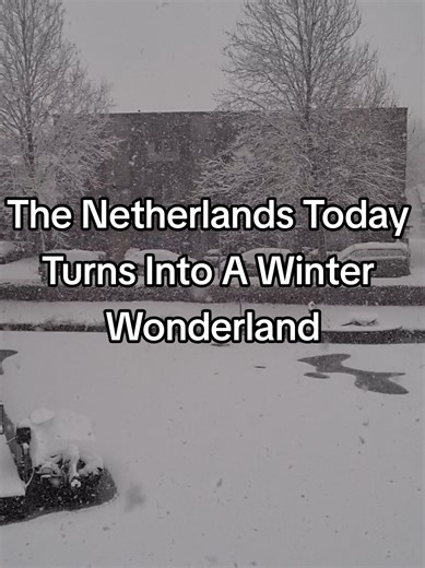 The Netherlands Today Turns Into A Winter Wonderland... #netherlands #dutch #dutchtiktok #weather #snow