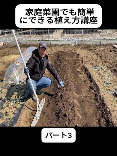 家庭菜園の畝作り講座：60cm幅で野菜を育てる
