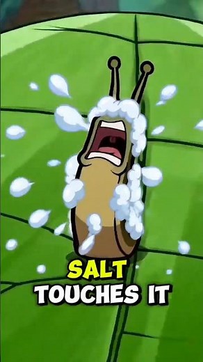 Never Put Salt On A Slug! 🚫🐌 #garden #tips #science