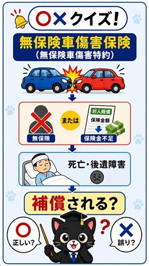 自動車保険vol.11 意外と間違える。試験によく出るポイントを黒猫先生がわかりやすく解説します！ #損害保険一般試験 #保険募集人試験 #保険クイズ #自動車保険 #黒猫先生#黒#損保#自賠責保険