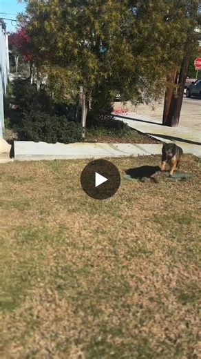 Amplifying Innate Talent in Commercial Training | Liz Paz, MBA posted on the topic | LinkedIn