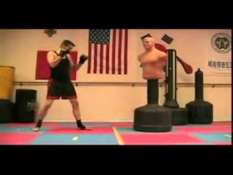 TECNICAS DE KICK BOXING