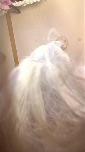 ❤️The Most Wonderful Hair Bun Drop Ever