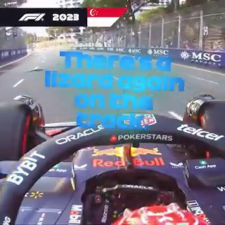 The voice behind the driver 🗣️These are some of the best radio moments from Max and GP over their 10 years of racing together so far 📻#F1