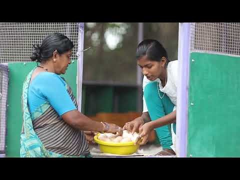 Strengthening Rural Livelihoods through Backyard Poultry Farming with Climate Adaptive Coop Solution