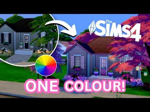 I Let a Wheel Pick ONE Colour… and Got PINK! | Sims 4
