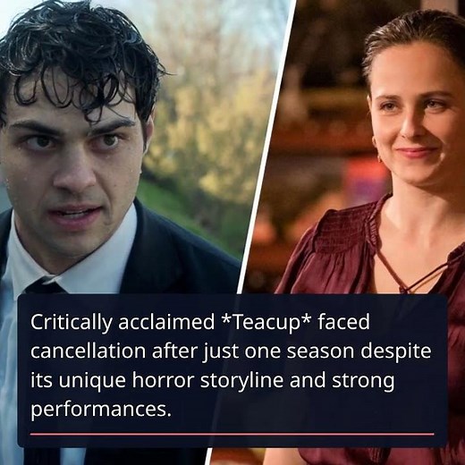 Top TV Shows Canceled in 2025 - What Went Wrong?