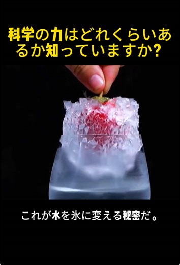 早く子供を連れてこれらの小さな実験をしましょう！#物理実験 #科学実験