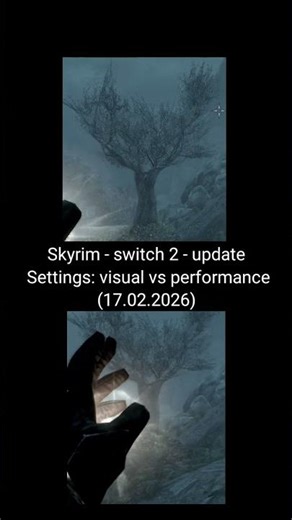Skyrim switch 2 update Settings: visual vs performance #game #nintendo #switch2 #skyrim #compare
