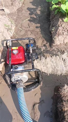 Rekomendasi alkon pompa air harga ekonomis. cocok untuk kebun dan sawah tang membutuhkan pengarian skala ringan dan sedang #alkon #tigertgp50 #waterpump #alkontiger #pompaair