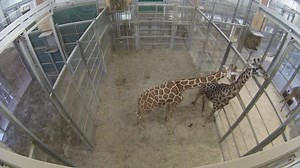 14K views · 391 reactions | 漣 What to expect when expecting baby...