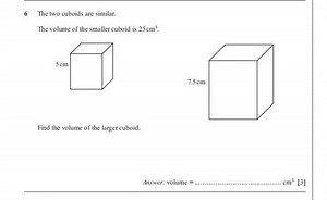6 The two cuboids are similar.The volume of the smaller cuboid... | Filo