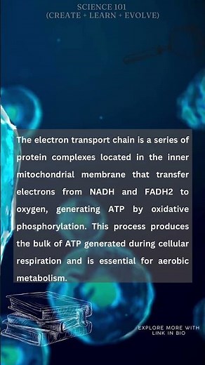 Electron Transport Chain simplified