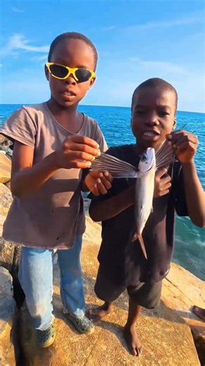 The Most Amazing Flying Fish