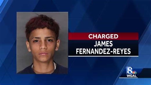 Teen charged in deadly triple shooting will be tried as adult
