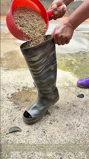 Cutting Rubber Boots: How a Simple Hack Creates Hands-Free Duck Feeders