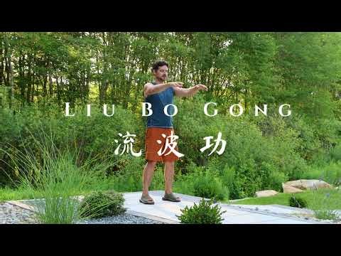 100 Arm Swings | The Simplest Qigong Move With Massive Results