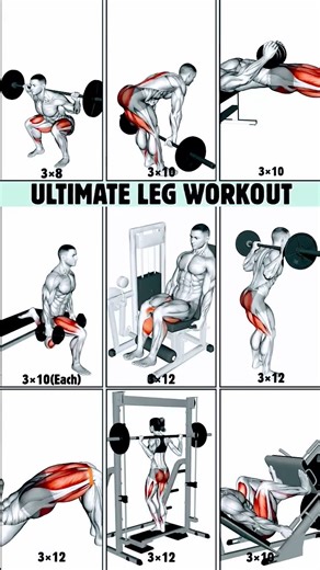 Ultimate Leg Workout: 9 Moves to Sculpt Your Lower Body #gymworkout #legworkout