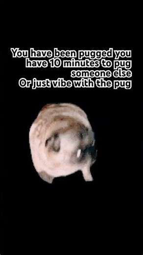 You have been pugged