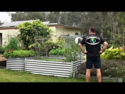 Total acreage revamp vlog self sufficient me homestead garden update