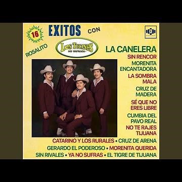 Cumbia Del Pavorreal - (2025 Remasterizado)