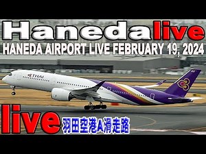 🔴 Haneda Airport Live February 19, 2024 羽田空港 ライブカメラ 生中継 2024年2月19日 羽田空港 ライブ