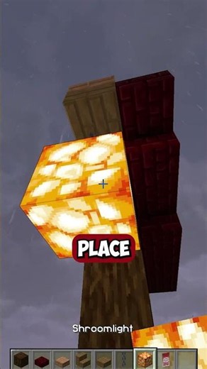 Torn Gate in Minecraft