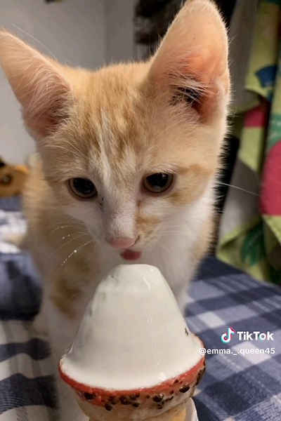 Johny Johny New Version: The Funniest Mix!