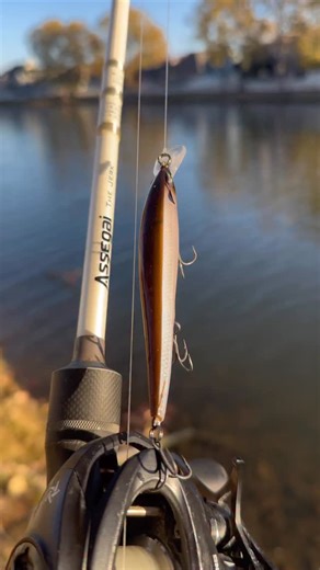 Mystery Tackle Box on Instagram: "Ever wondered how to fish for bass with a jerkbait? Here’s how! #fishing #bassfishing"