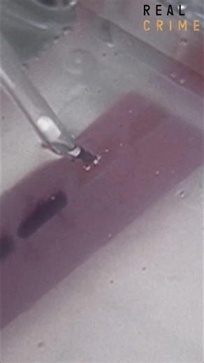 Creating a DNA profile of a victim is a major advancement. However, it requires comparison with a family member's DNA. Forensic analysis relies on comparing samples to identify a potential suspect. #DNAProfiling #ForensicAnalysis #VictimIdentification #CrimeSolving | Real Crime