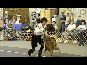 Dancing Dog - Linda Farr's Tango Partner