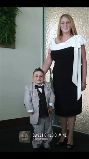 He loved his toy poodles, Harley, and Harley loved him🥰 then and now ❤️ | Leo Lagana