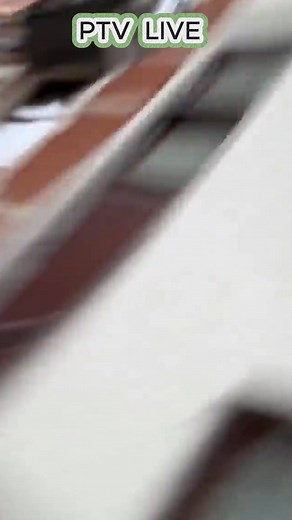 "When she tries to look dangerous but ends up adorable " | PTV sports live | Facebook