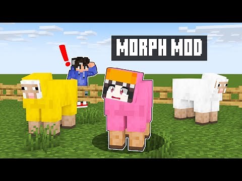 Using MORPH MOD In Minecraft Hide and Seek!