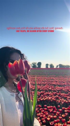 Even in the hardest times, like tulips, life always finds a way to bloom again. I just found my tulips video from last year—I hope I’ll manage to go there again this year before the season ends. #tulips #tulipseason #tulipfields #tulip