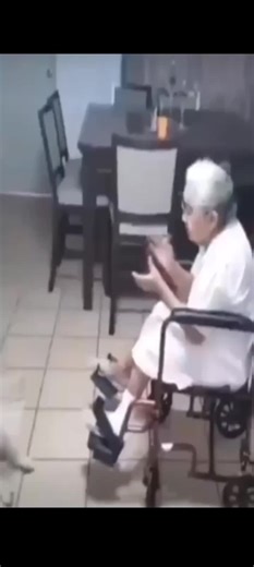 Exploring the Most Random Videos of 2025