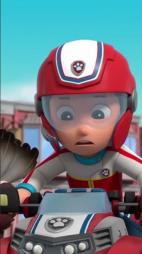 La grande famille des oiseaux est en danger! | #lapatpatrouille #pawpatrol