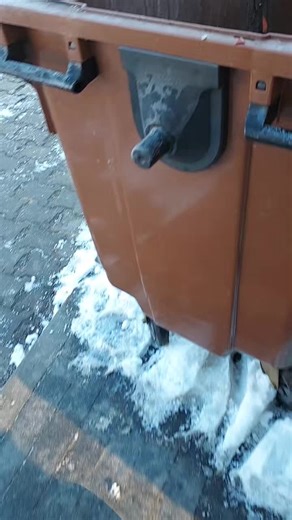 Recykling odpadów bio: Co można wyrzucać?